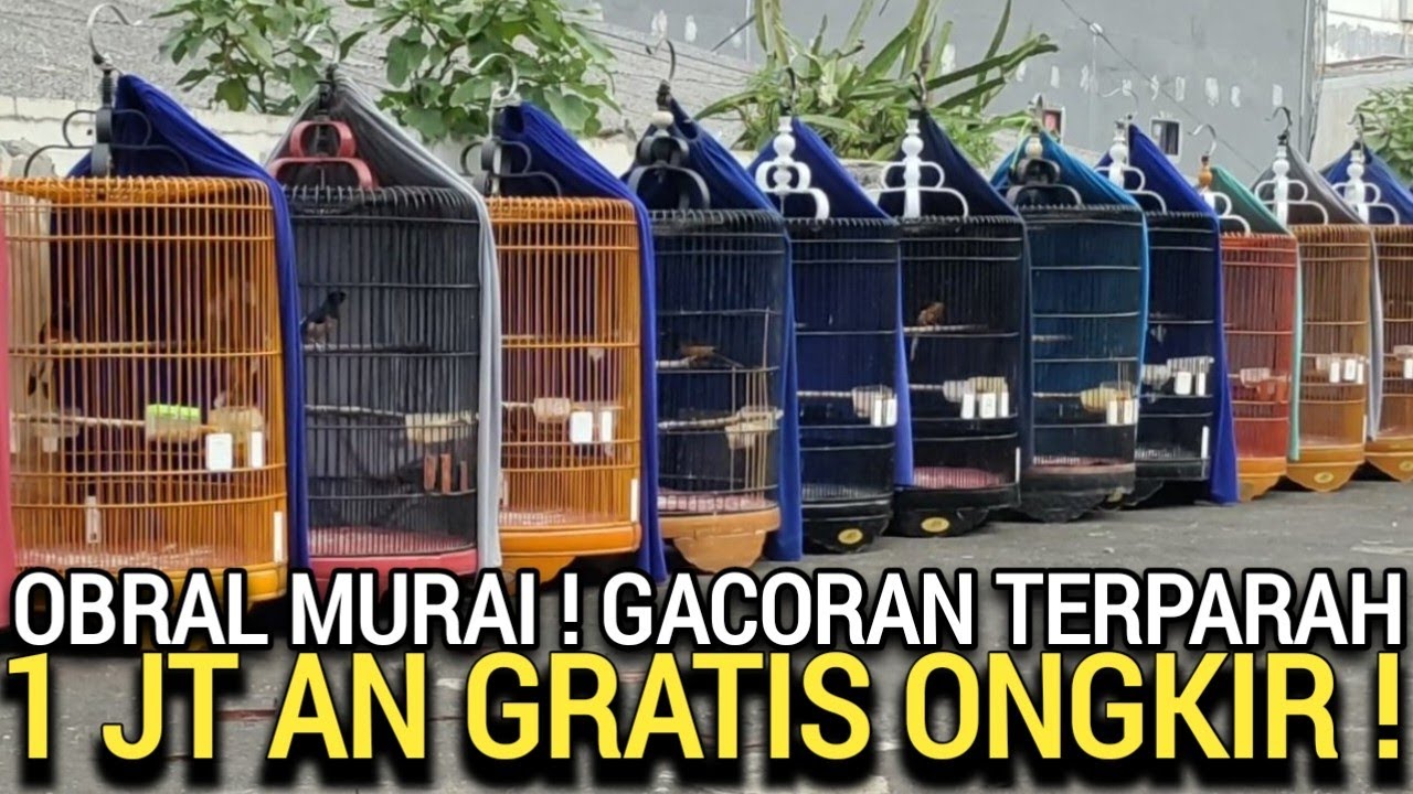 Cara Beli Tiket Pameran Seni Citimall Cilacap: Panduan Praktis untuk Warga Lokal